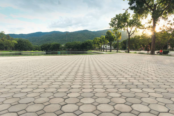 Best Decorative Driveway Pavers  in Kingman, AZ